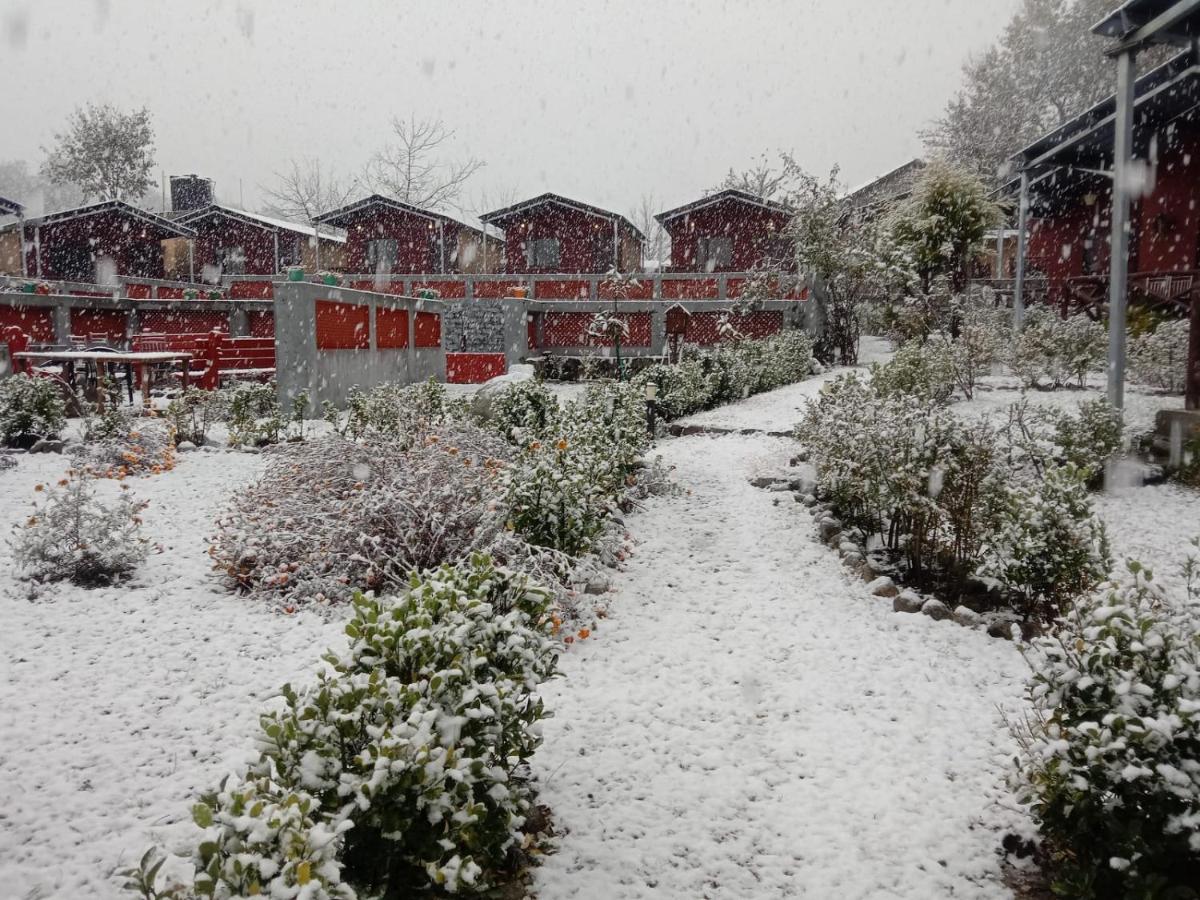 Flora Hills View Hotel Manali  Luaran gambar