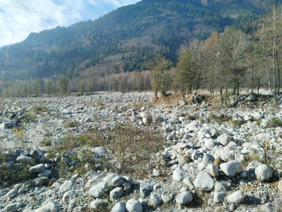 Flora Hills View Hotel Manali  Luaran gambar